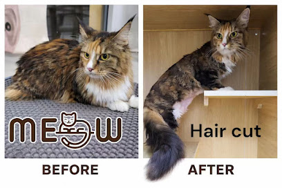 MEOW ZONE HOTEL & GROOMING