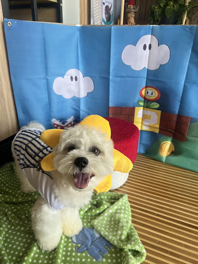 RJ'S PETHOUSE