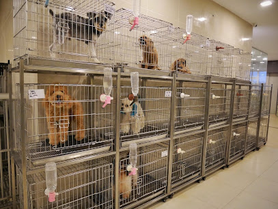 Pets for You Sdn Bhd